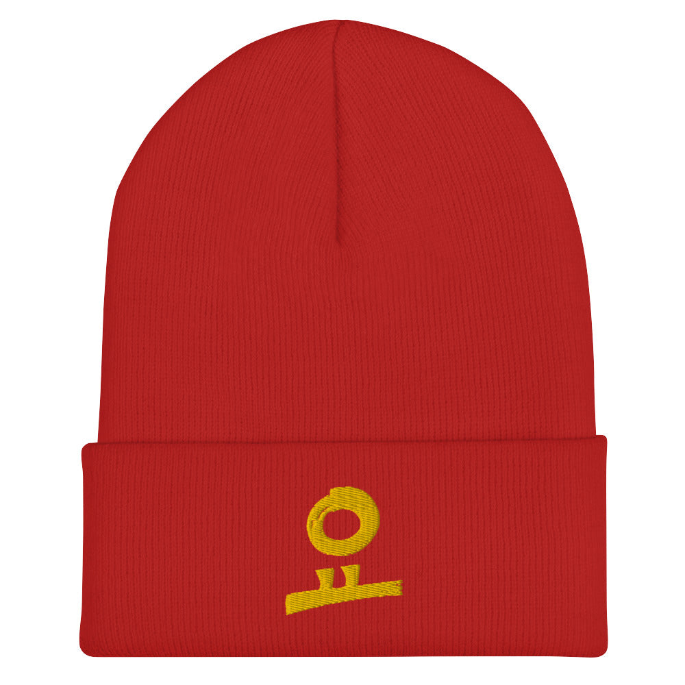 요 Cuffed Beanie